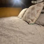 La Perle Des Sentiers Dağ evi *